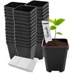 48 pcs Plastic Nursery Pot for Plants 2.75" Square x 3.25" Seed Starting/Transplant Plant Containers for Tomatoes Basil Peppers Mint with 48 Label Markers and Drain Holes for Germination with Ebook