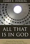 All that is in God: Evangelical Theology and the Challenge of Classical Christian Theism [Book]