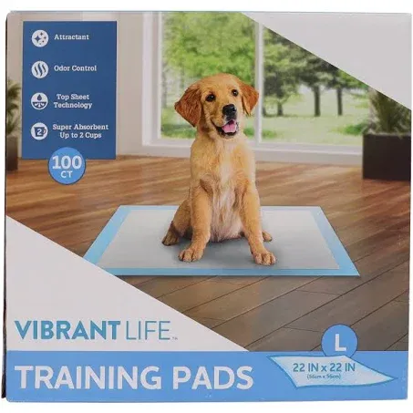 Vibrant Life Training Pads, Large, 22 in x 22 in, 100 Count