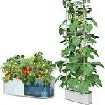 Big Smart Hydroponics Growing System Self Watering Planter Indoor Garden for Big