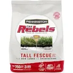 Pennington Rebels Tall Fescue Grass Seed