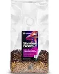 ShroomBloom All-in-One Mushroom Grow Kit | Easiest Way to Grow Your Own Fresh Mushrooms Spores Like Magic | Sterilized Grain Spawn & Substrate Bag for Indoor Growing