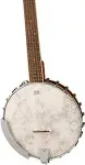 Fender Paramount PB-180E Banjo