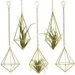 Geometric Hanging Tillandsia Holder Gold Metal Air Plants Holders Hanging for...