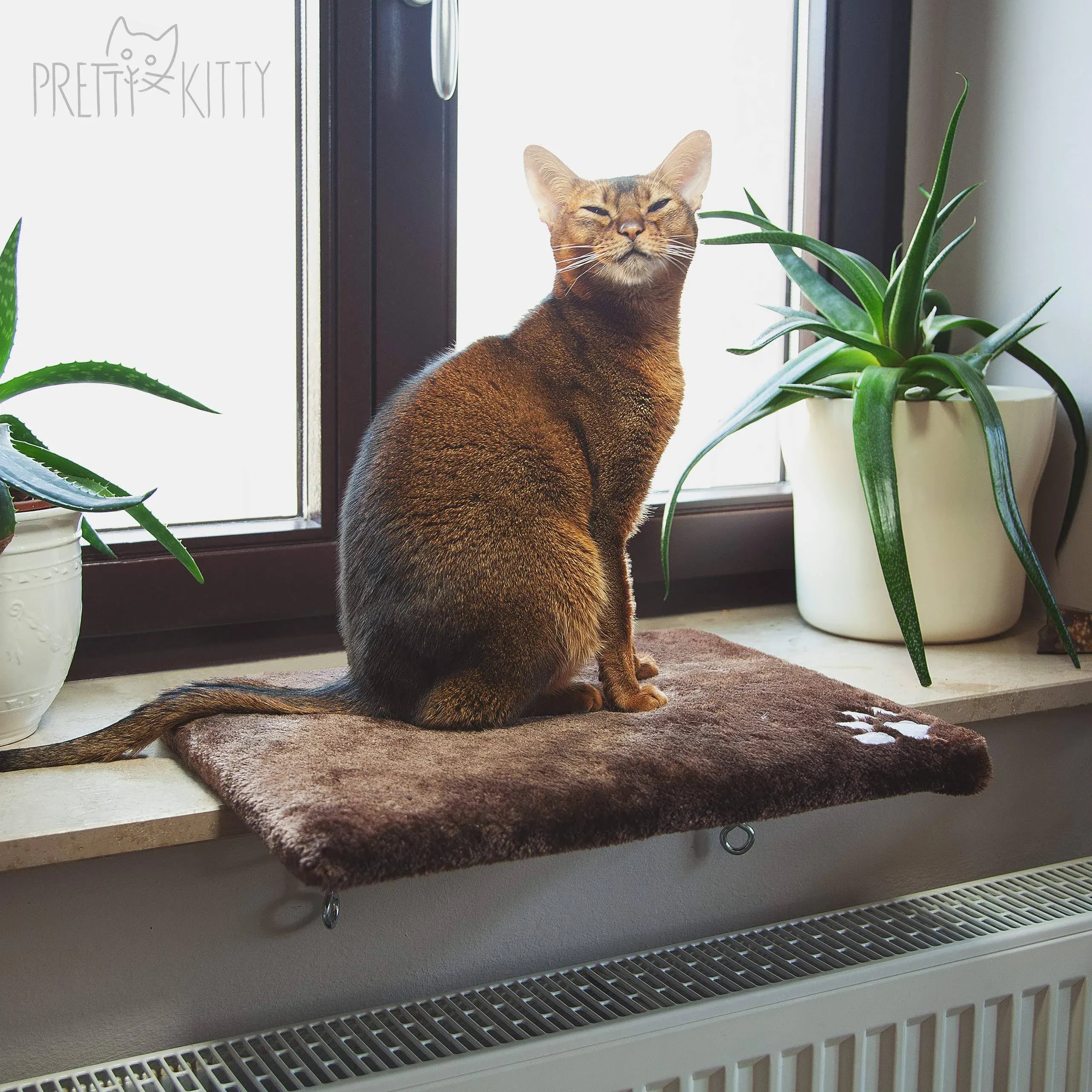 Pretty Kitty Cat Window Bed: Cozy Window Cat Bed for The Window Sill 125x16in ...