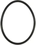 Pentair 59000600 O-Ring Bulkhead