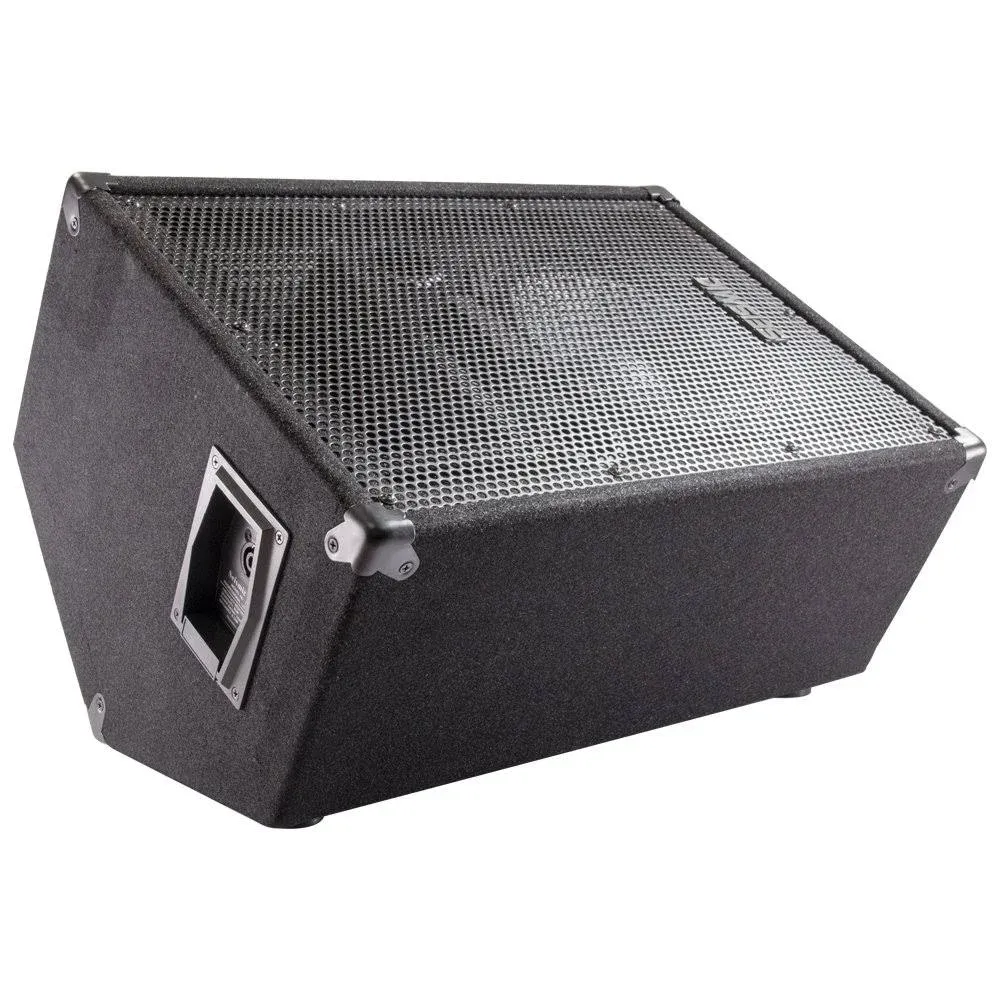 Seismic Audio - FL-10MPSingle - Single 10" Pa Speaker or Floor Monitor