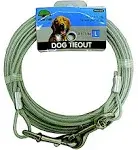 Aspen Pet Tieout Large 30'