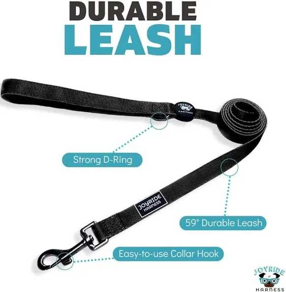 Joyride Harness Dog Leash, 59” Durable Leash for Walks, Puppy Walking Lead, Strong Traditional Style Leash with Easy to Use Collar Hook, Great for Small, Medium, and Large Dog, Thick Heavy Duty Nylon