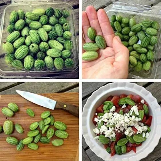 Opticase T-shin Mini Thumb Watermelon Fruit Vegetables Seeds 60+ Cucamelon ...