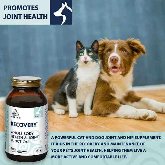 PURICA Recovery SA Powder 350g - Advanced Support for Joints, Comfort & Mobility in Dogs & Cats - Natural & Safe Supplement