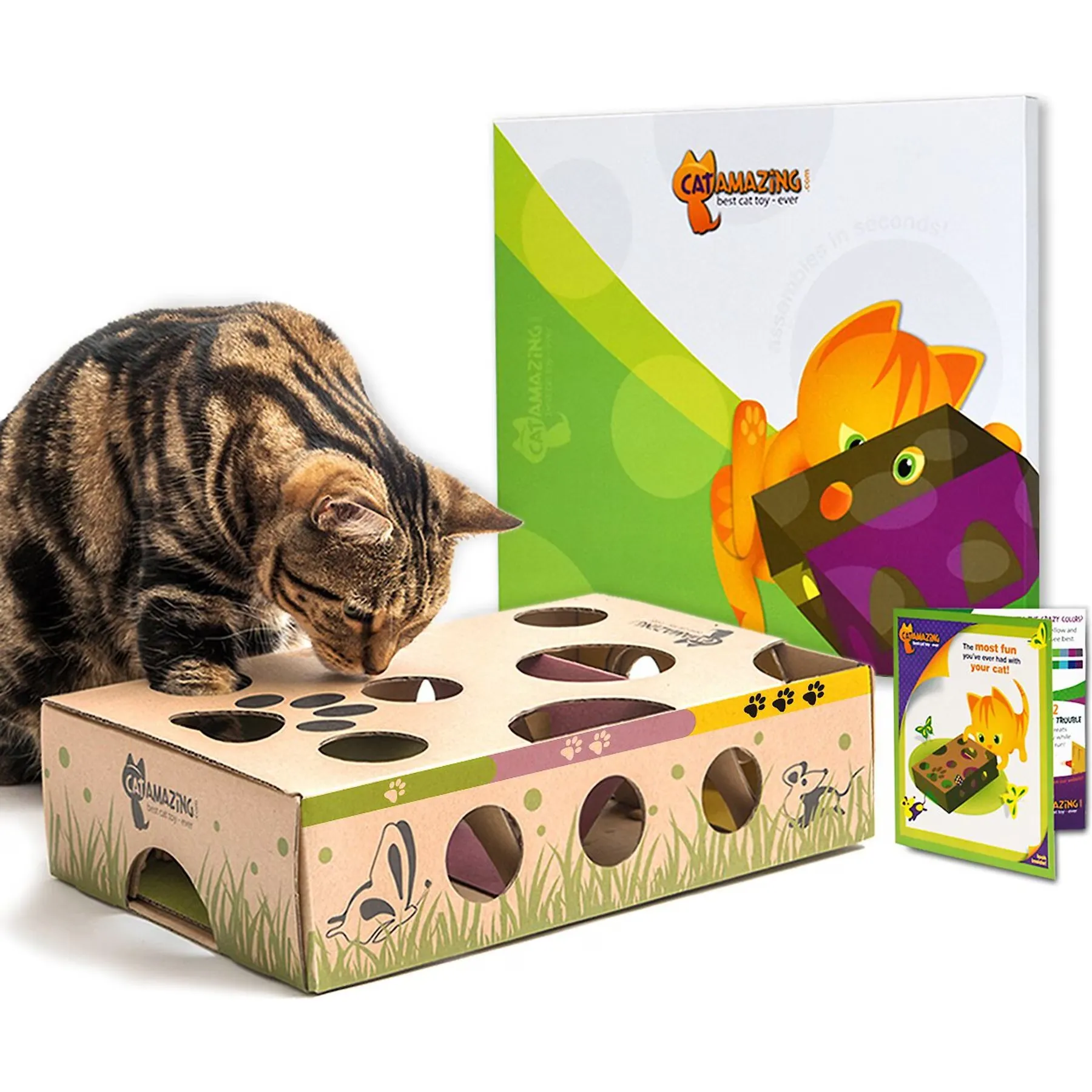 Cat Amazing Interactive Treat Maze & Puzzle Cat Toy