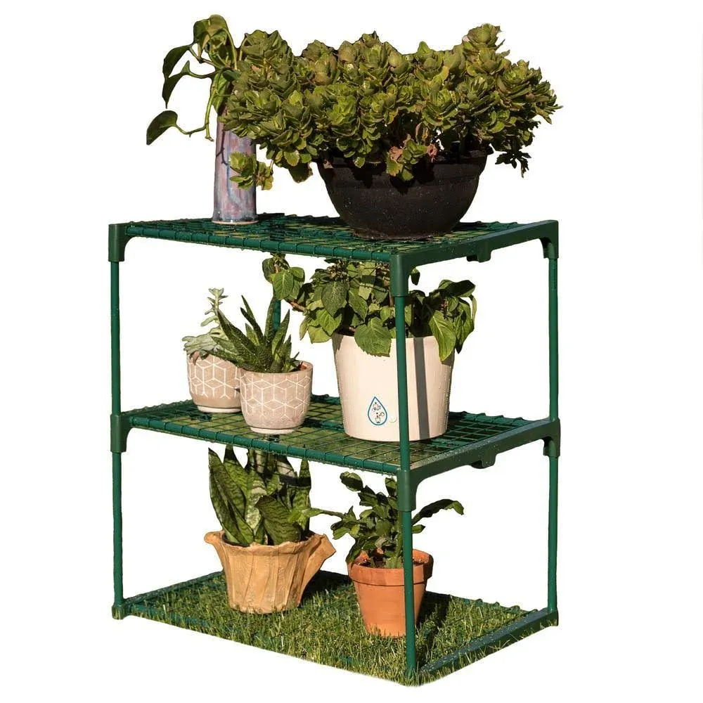 Zenport 3-Tier Greenhouse Plant Growing Rack