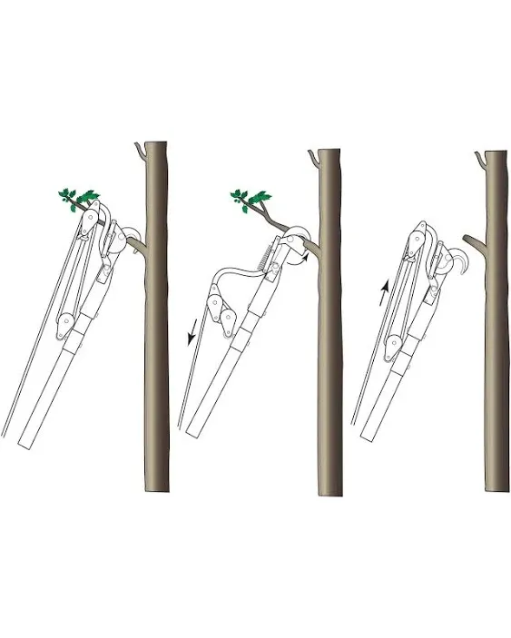 Jameson LS Series Pole Saw and Pruner Landscape Kit