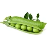 Smart Garden Dwarf Pea Plant Pods 3pack