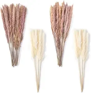 DomeStar 36PCS Pampas Grass, Natural Dried Pampas Reed Grass Plume Wedding 