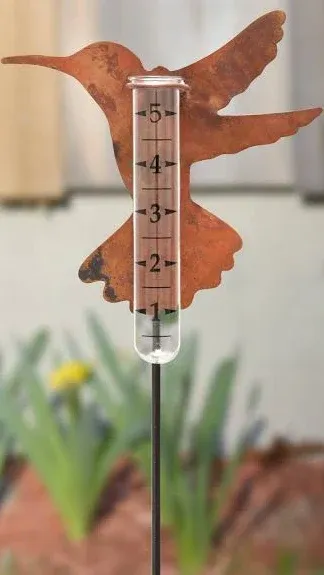 Hummingbird Rain Gauge