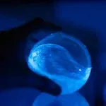 PyroFarms Bioluminescent Bio-Orb (Large)