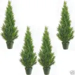 ONKER  Five 3 Foot Artificial Cedar Topiary Trees Potted Indoor or Outdoor