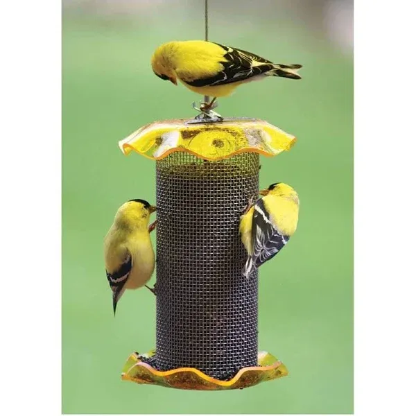 Birds Choice 1 Qt. Forever Nyjer Feeder, Yellow