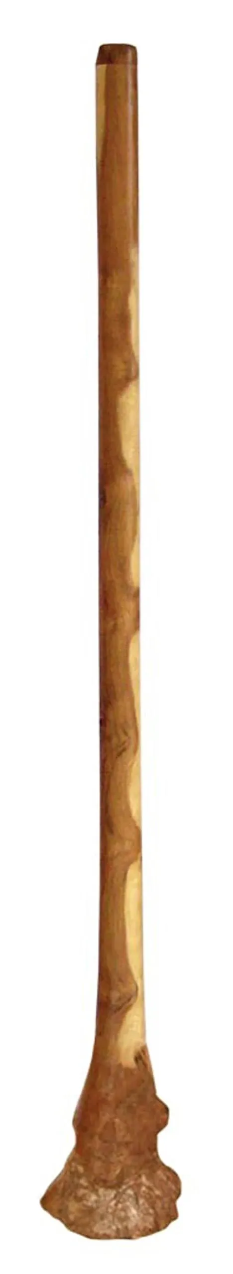   Handmade Didgeridoo Eucalyptus (Root) 