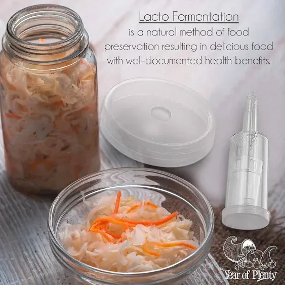 Ferment Kit - 2 Fermenting Mason Jars, 2 Fermentation Weights &amp; 2 Fermenting Lid