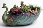 Zufeng Succulents Planter Plants Pot