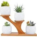 Brajttt White Owl Ceramic Succulent Pots, 4pcs Modern Decorative Flower Planters w/ 4 Tier Bamboo Saucers Stand Holder &Drainage, Home Office Desk