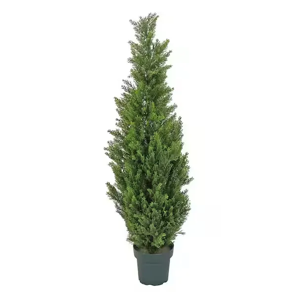 National Tree Company 50" Cedar Tree in Dark Green Round Growers Pot