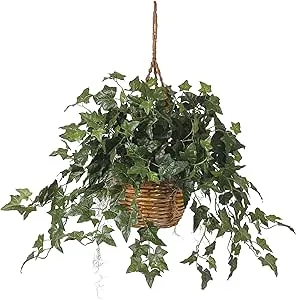 Nearly Natural English Ivy Hanging Basket, 36 in x 36 in x 26 in, Green