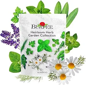 Burpee Heirloom Herb Seeds Variety Pack, Non-GMO, 16 Herbs - 15,000+ Seeds with Basil, Chives, Catnip, Chamomile, Cilantro, Dill, Lavender, Oregano, Parsley, Rosemary, Spearmint, Sage, Tarragon, Thyme