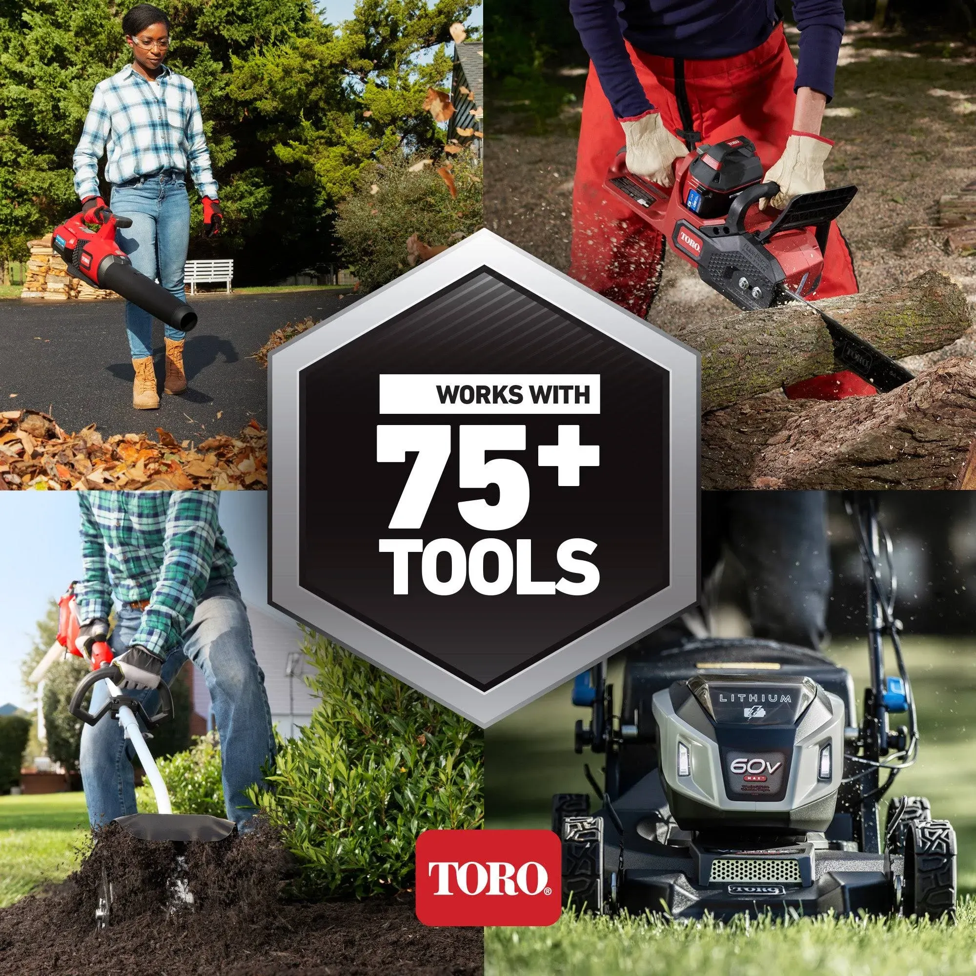 Toro 51833T 60V Max 8" Brushless Stick Edger (Tool Only)