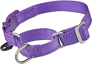 Reflective Martingale Collar for Dogs with Quick Snap Buckle Anti-Pull Nylon ...