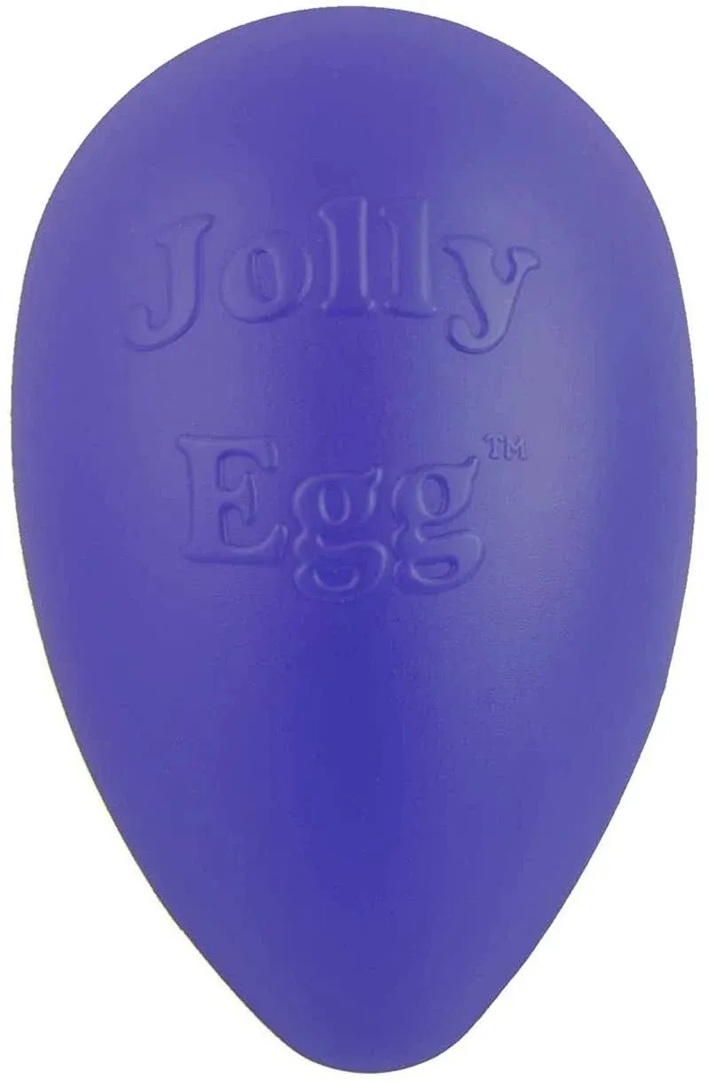 Jolly Pets Egg 8 in Purple