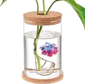 Desktop Fish Bowl Glass- Small Betta Fish Tank with Lid, Clear Hydroponic Plant Propagation Station for Home Office, Plant Lovers Gifts for Women Mom (Straight-Shaped, 4.7" x 6.7")