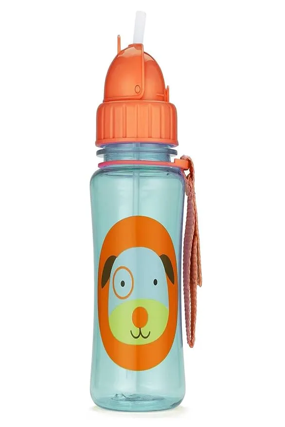 Skip Hop Toddler Sippy Cup with Straw, Zoo Straw Bottle, Dinosaur