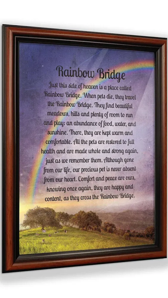 Rainbow Bridge Pet Memorial Gifts Cat or Dog Memorial Gifts, Loss of Dog Gifts   | eBay