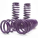 D2 Racing Honda Civic Lowering Springs Kit for 2016-2024 Honda Civic & 2017-2024 Civic Si