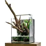 UNS Foresta Integrated Paludarium