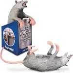 Whole Earth Provision Co. Archie McPhee Office Possum