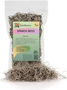 Premium Natural Spanish Moss | Natural Preserved - Great Ground Cover - Filler for Potted Plants - by GARDENERA - 1 Quart Bag