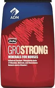 ADM ANIMAL NUTRITION 641BT Horse Vitamin/Mineral , 1Piece 25 lb