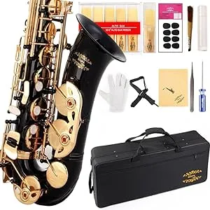 Glory Black Laquer E Flat Alto Saxophone with 11reeds,8 Pads cushions,case,carekit