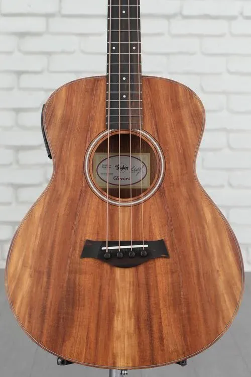 GS Mini-e Koa Bass,Taylor