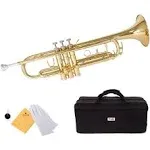 Mendini By Cecilio Bb Trumpet - Trumpets for Beginner or Advanced Student w/Case