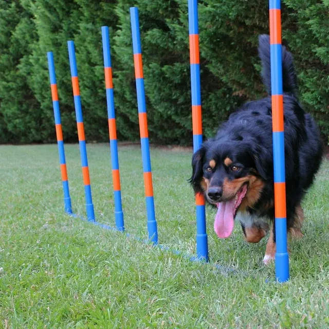 Lord Anson Dog Agility Weave Poles - Competition Grade Adjustable Agility Weave Pole Set - Dog Agility Equipment Set - 6 Weave Pole Set w/Carrying