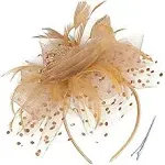 Women's Fascinators Tea Party Wedding Derby Mesh Flower Pearl Feather Fascinator Hat with Headband and Clip