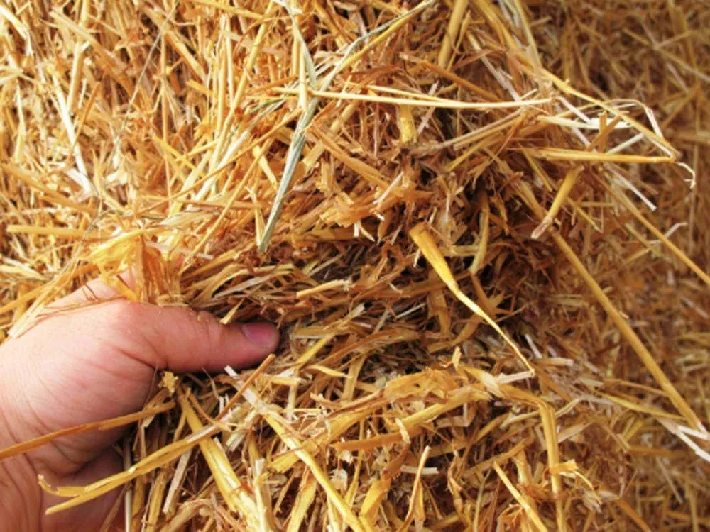 1 Cubic Foot of 100% Natural and Organic Wheat Straw