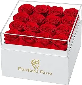 Eterfield Forever Flowers Preserved Roses Real Roses That Last a Year Rose Box Gifts for Her Mothers Day Valentines Day Christmas (Square White Box, 16 Red Roses)