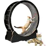 Cat Exercise Wheel for Indoor Cats, Diameter 39.4&#039;&#039; Large Cat Running Wheels, Ea